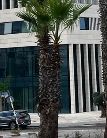 Aluminum Curtain Walls and Windows