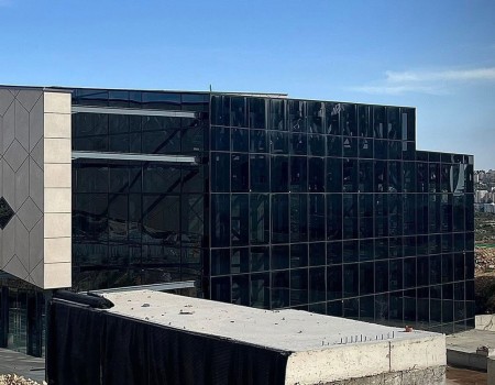 The Diplomatic Institute